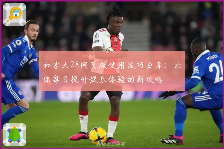 加拿大28网页版使用技巧分享：让你每日提升娱乐体验的新攻略