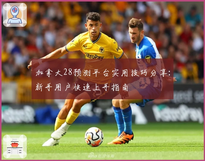 加拿大28预测平台实用技巧分享：新手用户快速上手指南