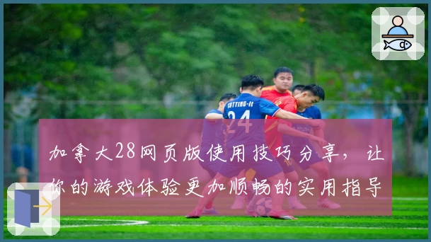 加拿大28网页版使用技巧分享，让你的游戏体验更加顺畅的实用指导