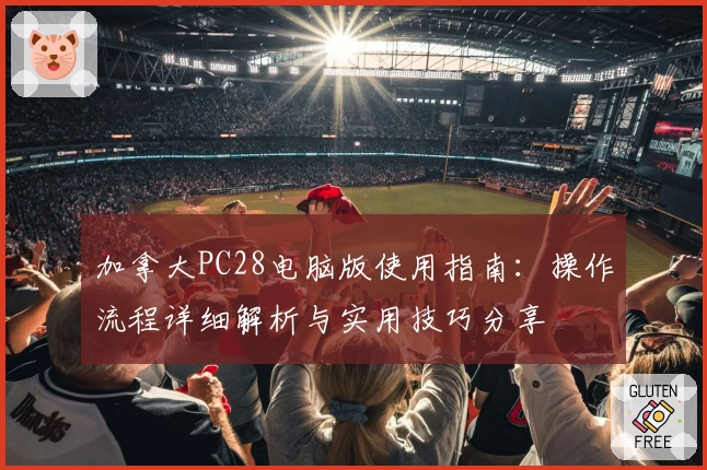 加拿大PC28电脑版使用指南:操作流程详细解析与实用技巧分享