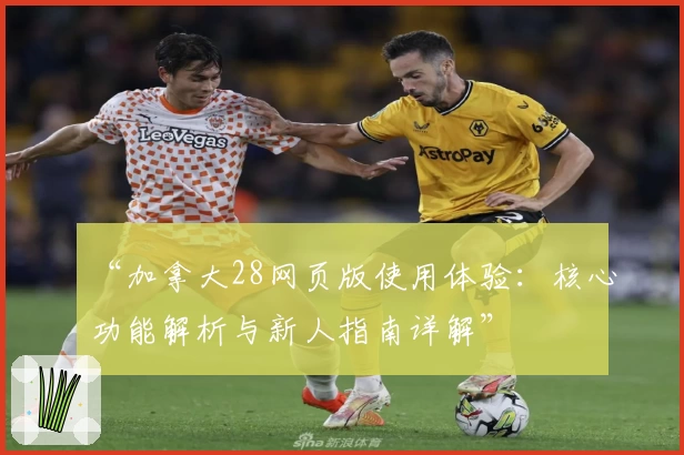 “加拿大28网页版使用体验：核心功能解析与新人指南详解”