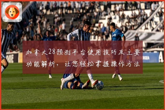 加拿大28预测平台使用技巧及主要功能解析，让您轻松掌握操作方法
