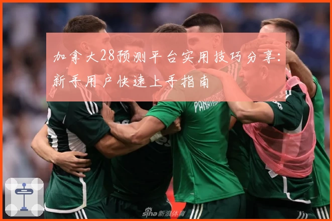 加拿大28预测平台实用技巧分享：新手用户快速上手指南