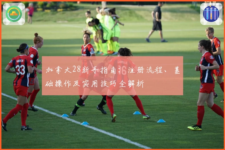 加拿大28新手指南：注册流程、基础操作及实用技巧全解析