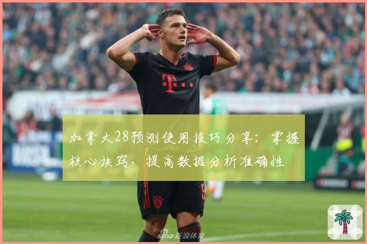 加拿大28预测使用技巧分享：掌握核心诀窍，提高数据分析准确性