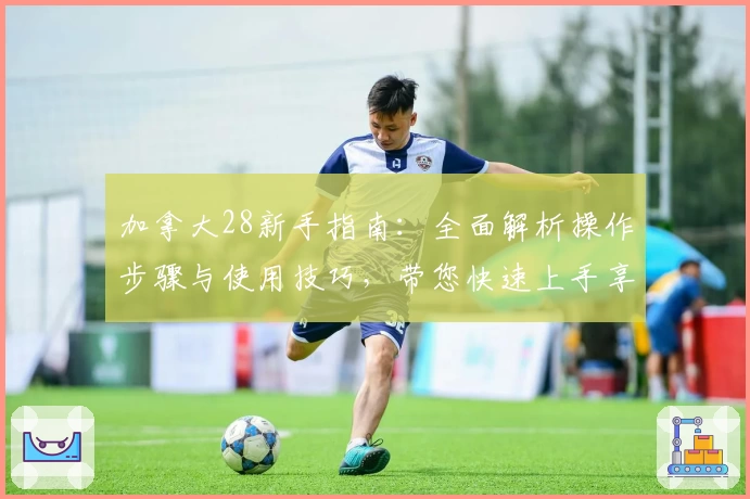 加拿大28新手指南：全面解析操作步骤与使用技巧，带您快速上手享受便捷体验