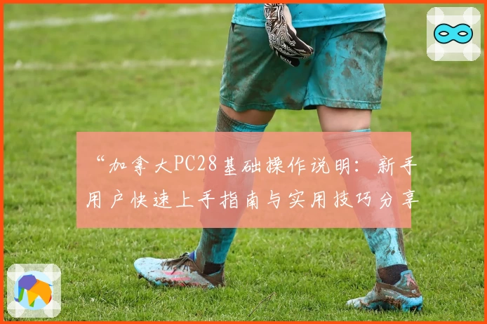 “加拿大PC28基础操作说明：新手用户快速上手指南与实用技巧分享”