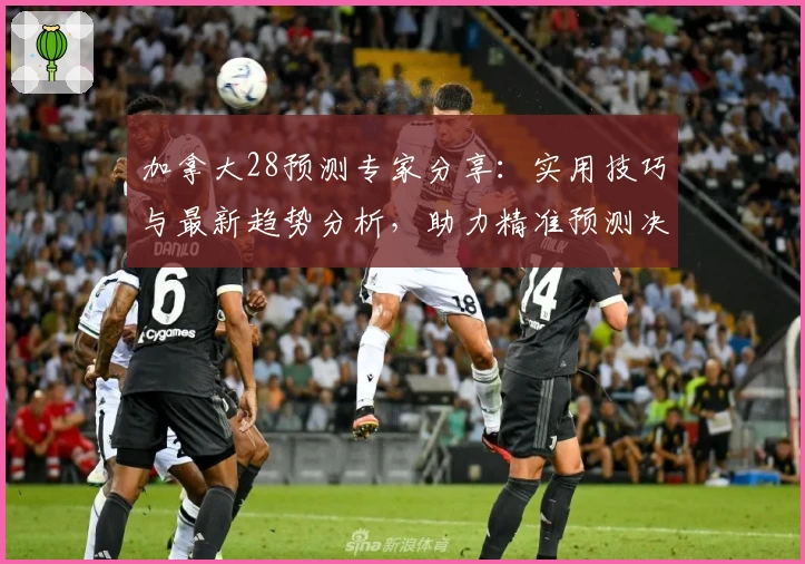 加拿大28预测专家分享：实用技巧与最新趋势分析，助力精准预测决策