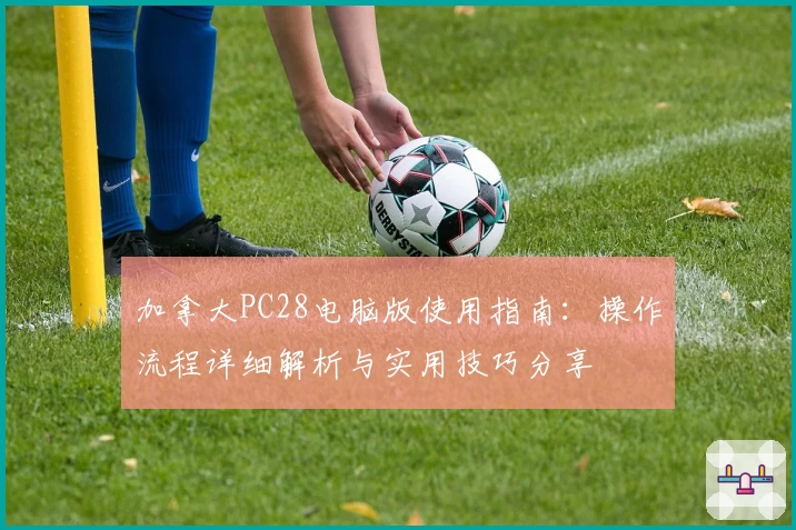 加拿大PC28电脑版使用指南：操作流程详细解析与实用技巧分享